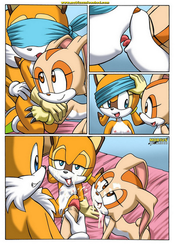 Cover of Sonic Project XXX 2.5